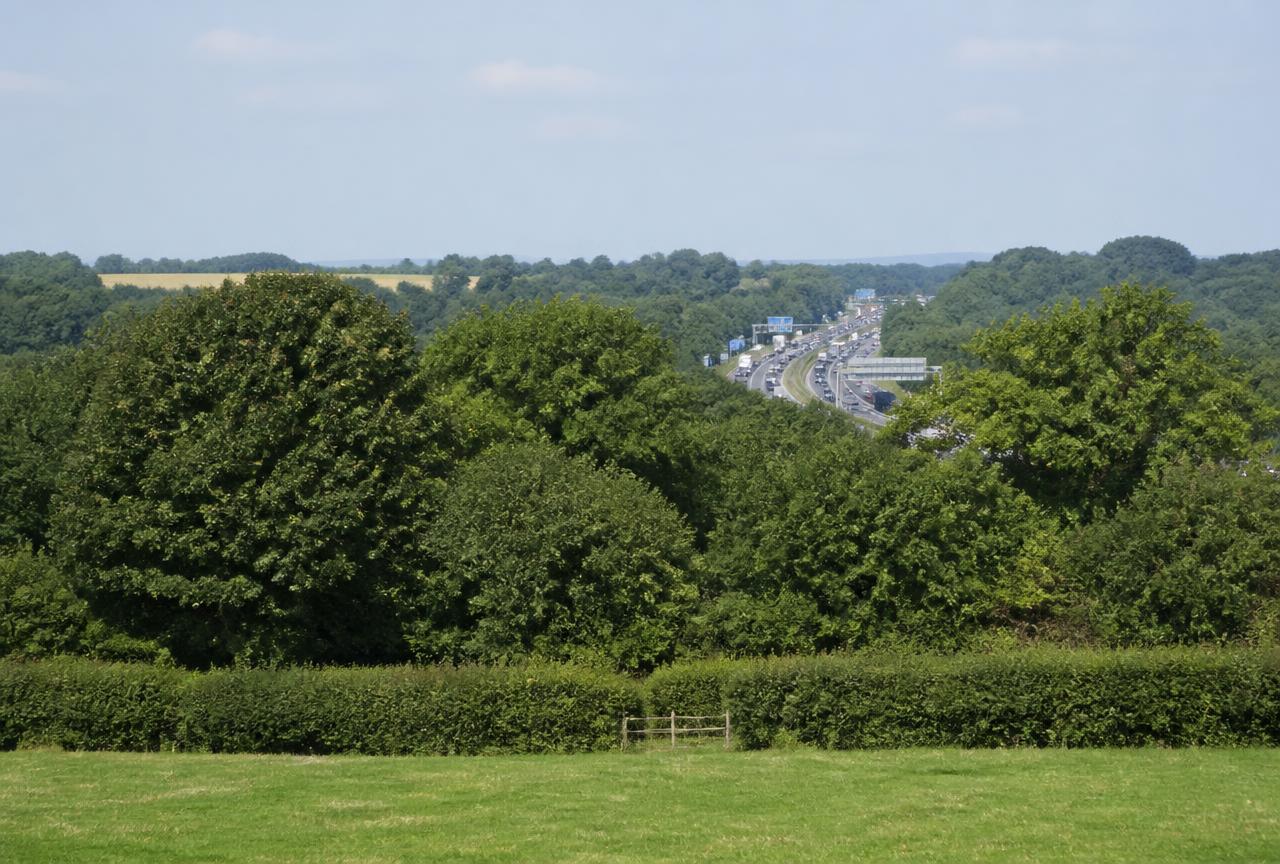 Belt of mature trees and hedgerow screening the M25 motorway beyond green fields